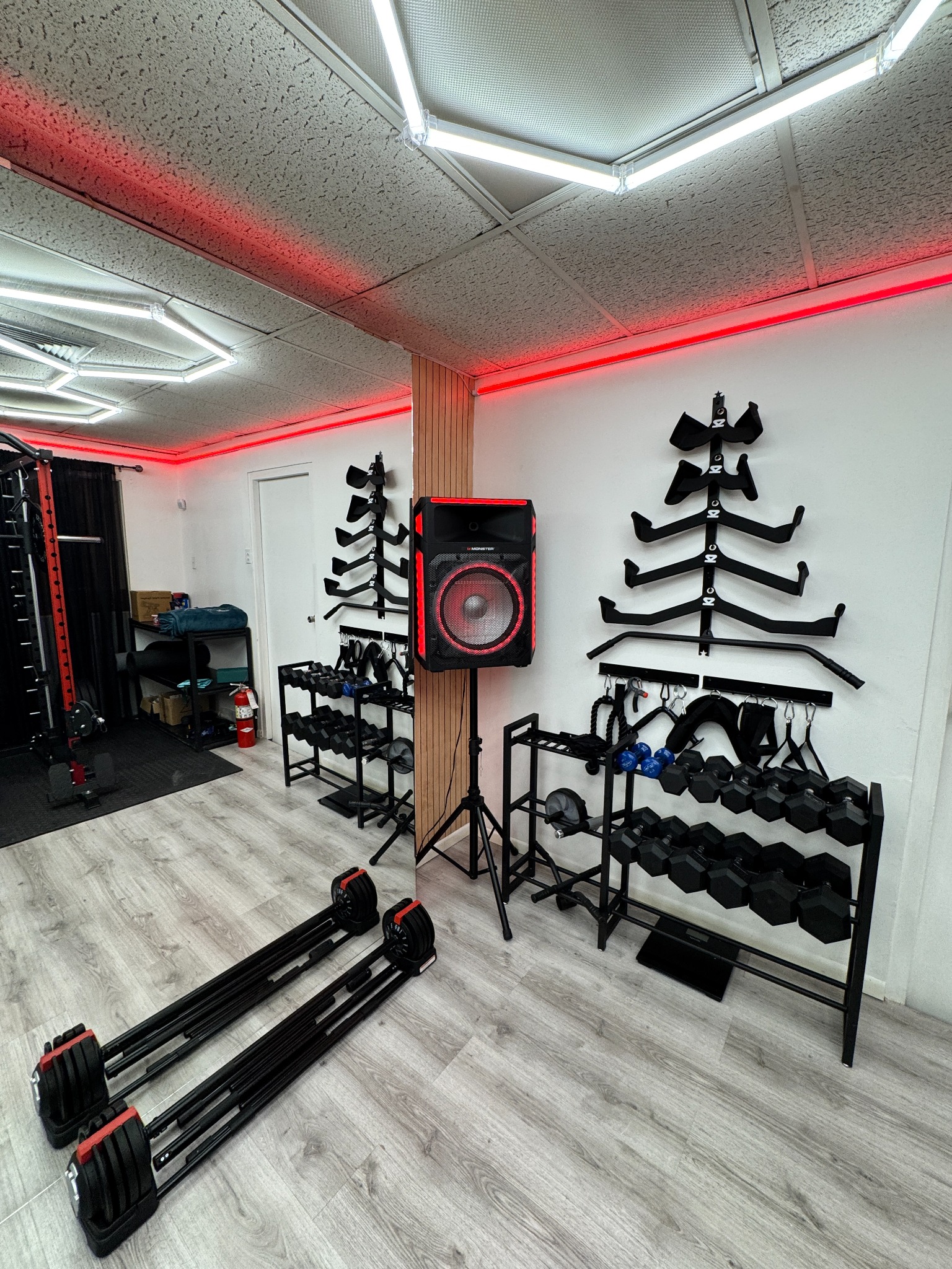 Dumbbells, attachments and training equipment at ArubaSalsa Gym